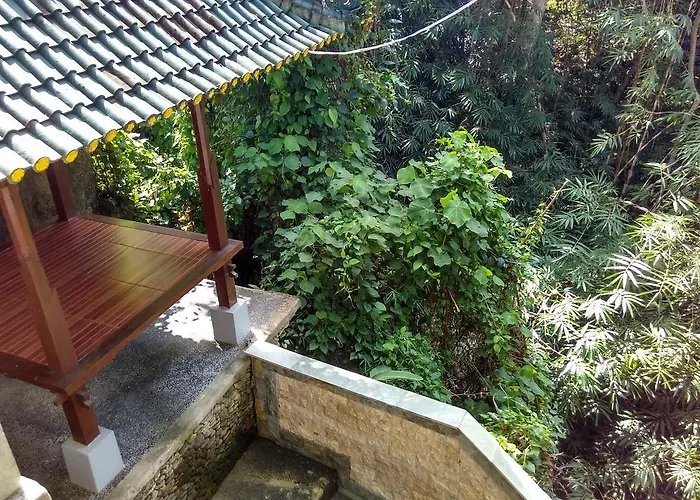 Budi