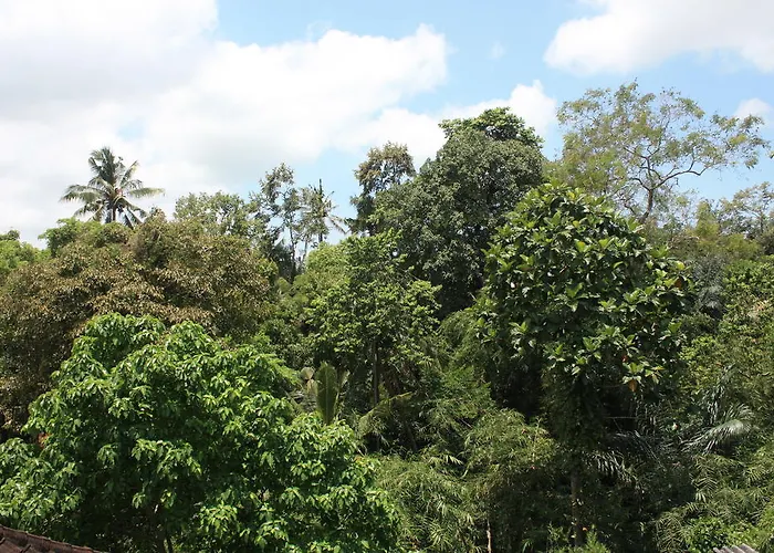 Budi Ubud